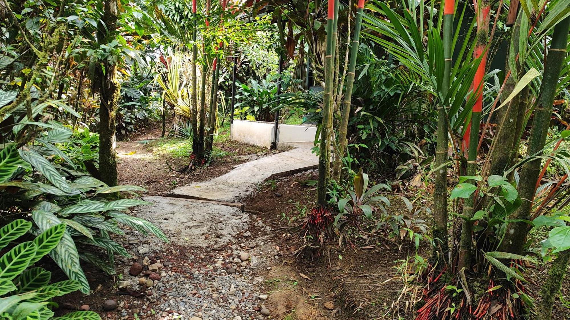 Rio Celeste Nature View Upala Bilik gambar